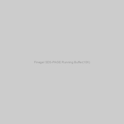GenDepot - Finegel SDS-PAGE Running Buffer(10X)